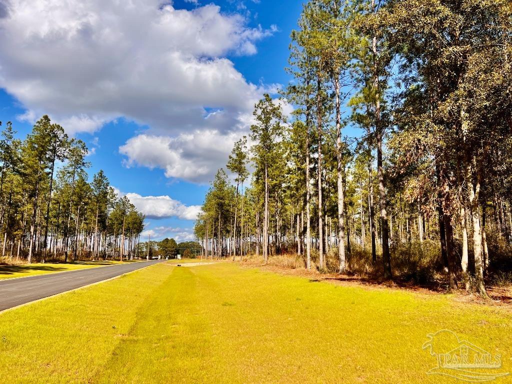 Lot 17 Denali Road Jay, FL 32565 - Photo 16 of 32 a view of outdoor space with swimming pool and trees in the background