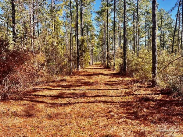 $289,000 | Lot 17 Denali Road, Jay, FL 32565