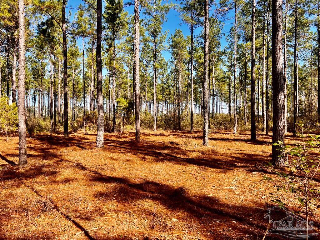 Lot 17 Denali Road Jay, FL 32565 - Photo 20 of 32