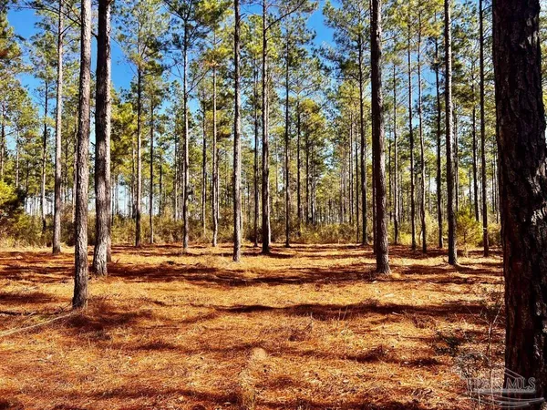 $289,000 | Lot 17 Denali Road, Jay, FL 32565