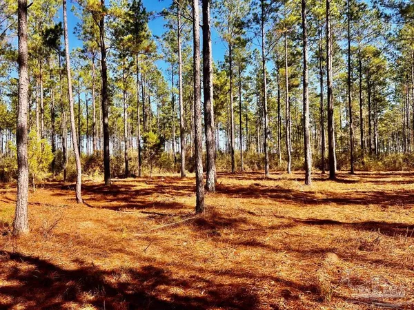 $289,000 | Lot 17 Denali Road, Jay, FL 32565
