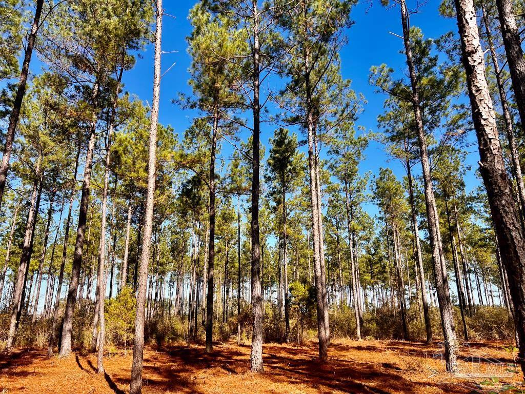 Lot 17 Denali Road Jay, FL 32565 - Photo 25 of 32 a view of a city with tall building