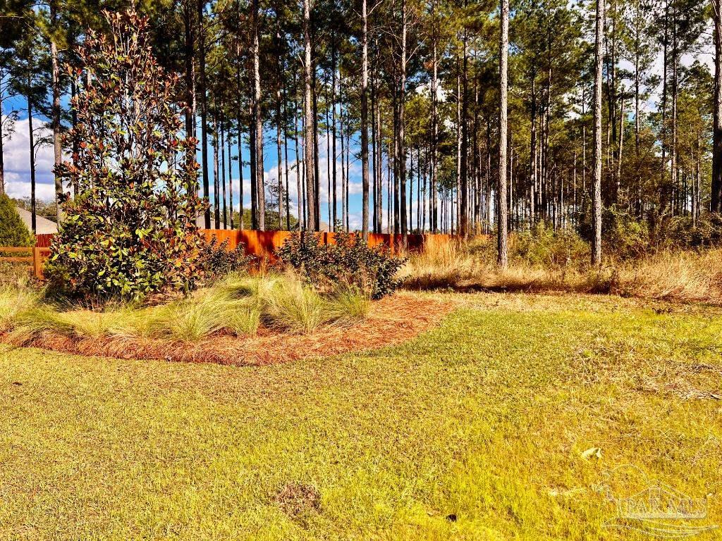 Lot 17 Denali Road Jay, FL 32565 - Photo 8 of 32 a view of back yard of the building