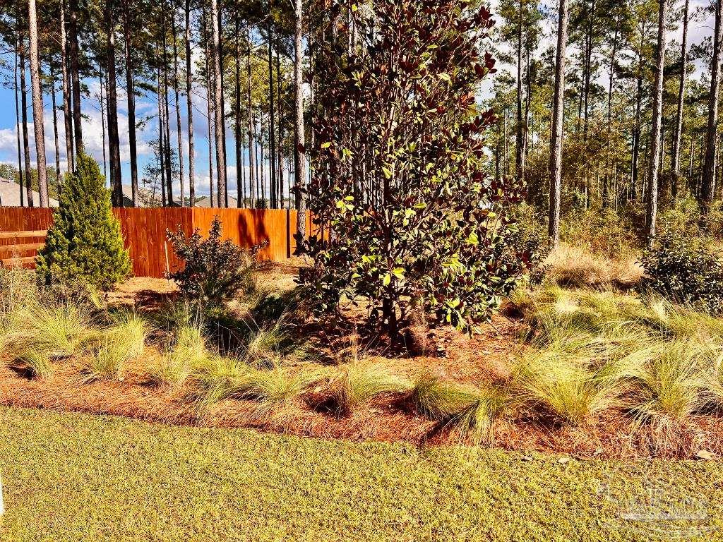 Lot 17 Denali Road Jay, FL 32565 - Photo 10 of 32 a view of a yard