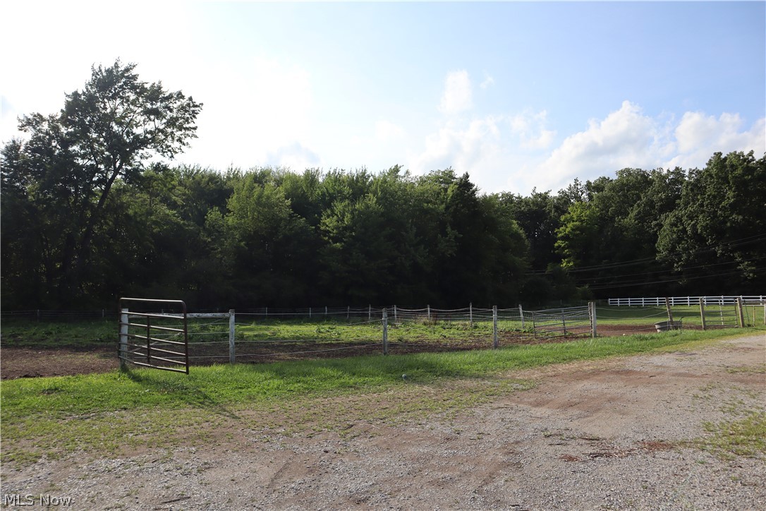 9761 Bell Road Newbury, OH 44065 - Photo 5 of 18 Turn out areas at the front of the property,