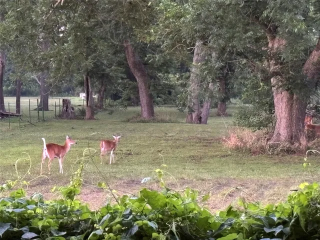 $1,800 | 2011 Miller Road, Unit B, Rosharon, TX 77583