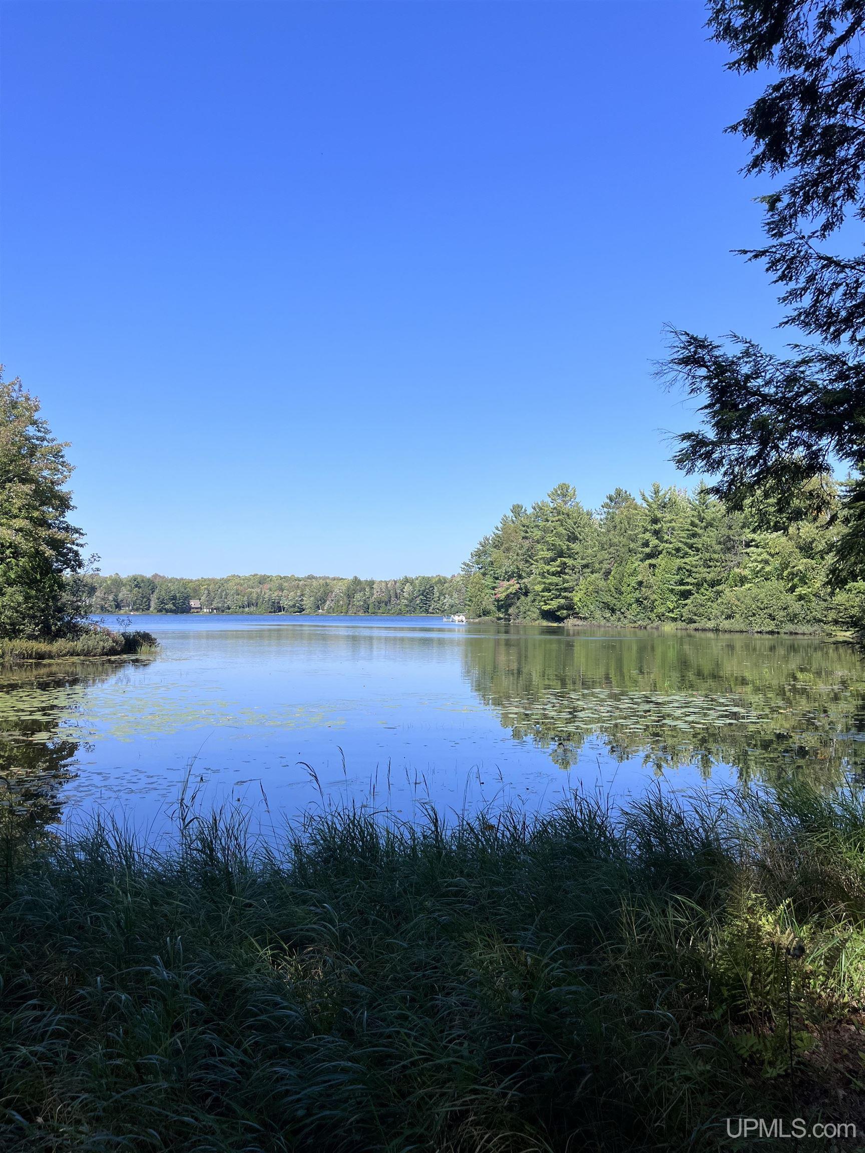 1605 Engman Lake Road Skandia, MI 49885 - Photo 80 of 90