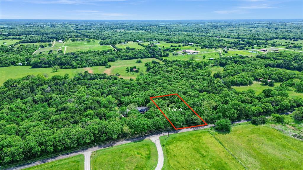 1 Arkansas Road Sadler, TX 76264 - Photo 2 of 8 a view of a lush green forest with trees and some houses