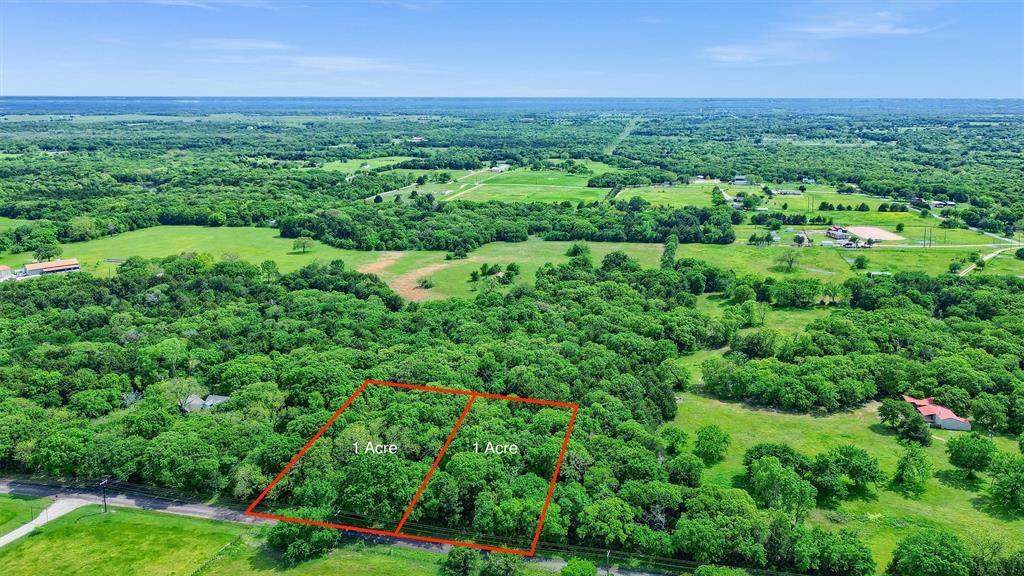 1 Arkansas Road Sadler, TX 76264 - Photo 3 of 8 a view of a green field with lots of bushes