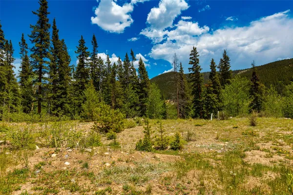 $209,000 | 522 Quartzville Road, Alma, CO 80420