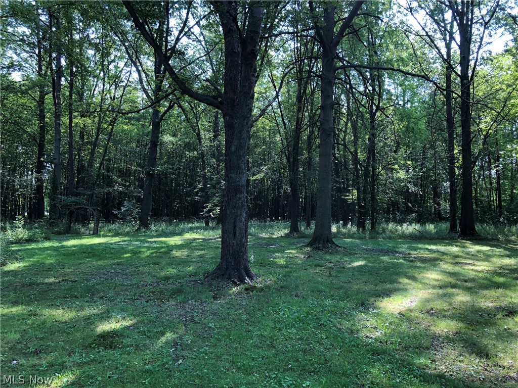 4056 Austin Road Geneva, OH 44041 - Photo 7 of 27