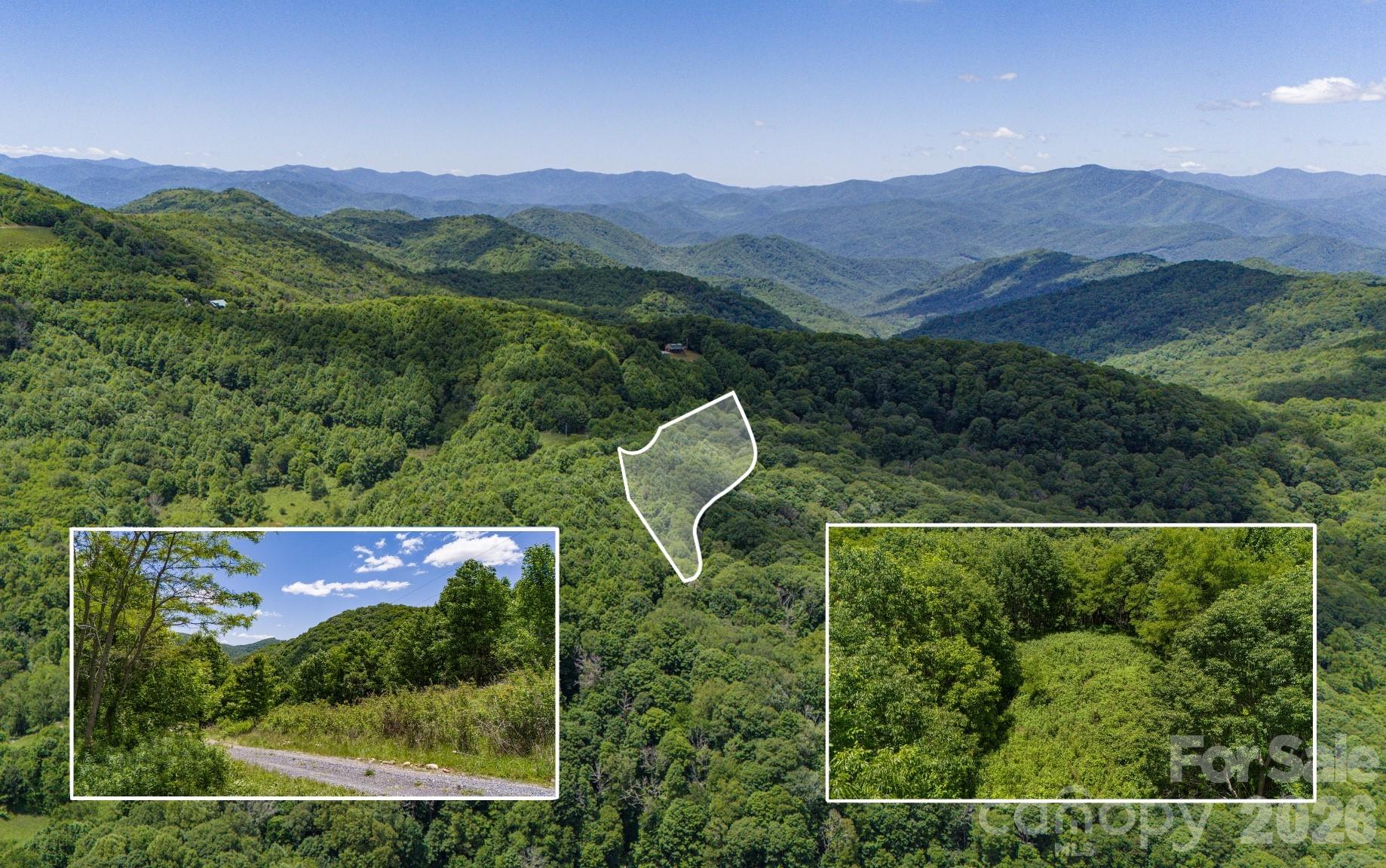 2 Turkey Trot Road Clyde, NC 28721 - Photo 7 of 48