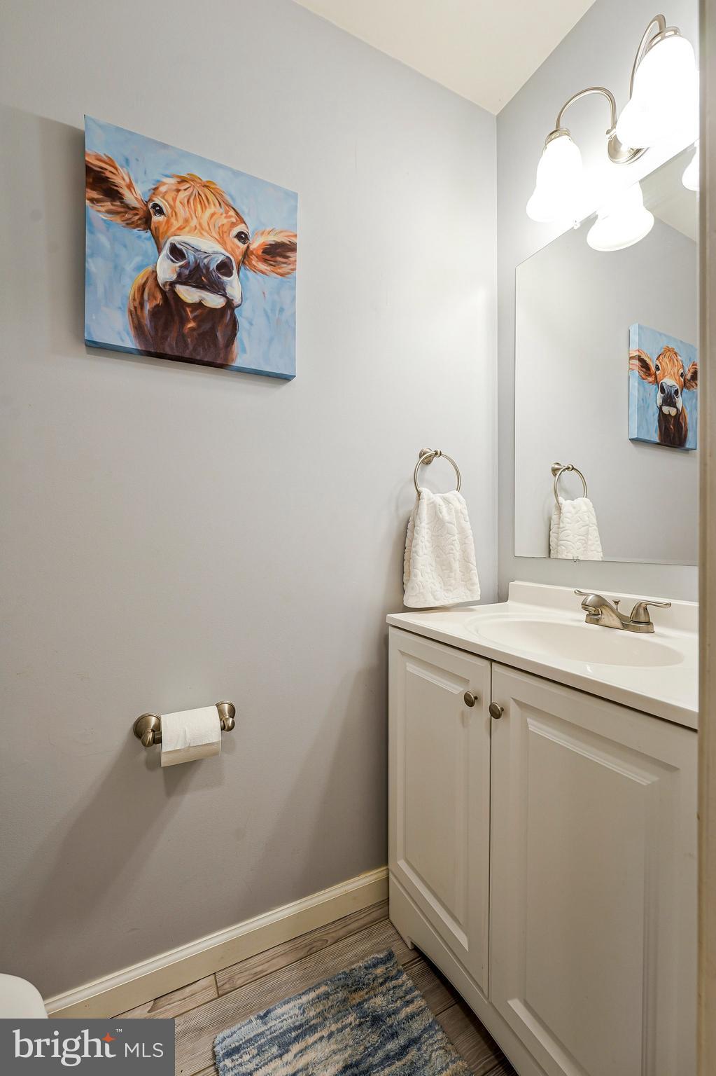 1085 Smartts Lane Northeast Leesburg, VA 20176 - Photo 16 of 38 a bathroom with a sink and a mirror