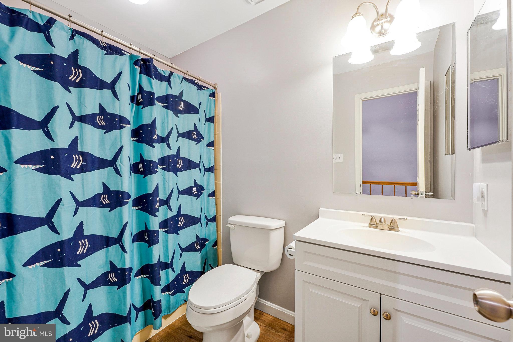 1085 Smartts Lane Northeast Leesburg, VA 20176 - Photo 25 of 38 a bathroom with a sink mirror vanity and toilet