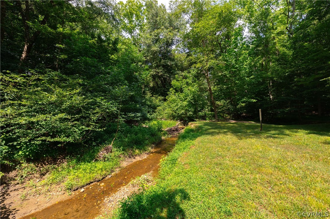 125 Jesse's Way Farmville, VA 23901 - Photo 40 of 42 a view of outdoor space