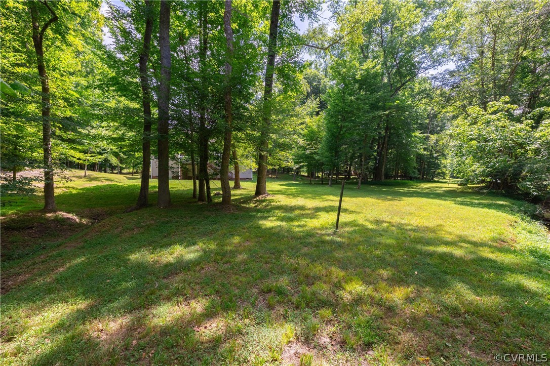 125 Jesse's Way Farmville, VA 23901 - Photo 42 of 42 a view of a park with a tree