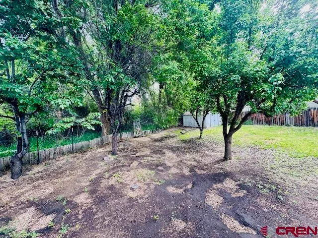 a view of a yard with tree s