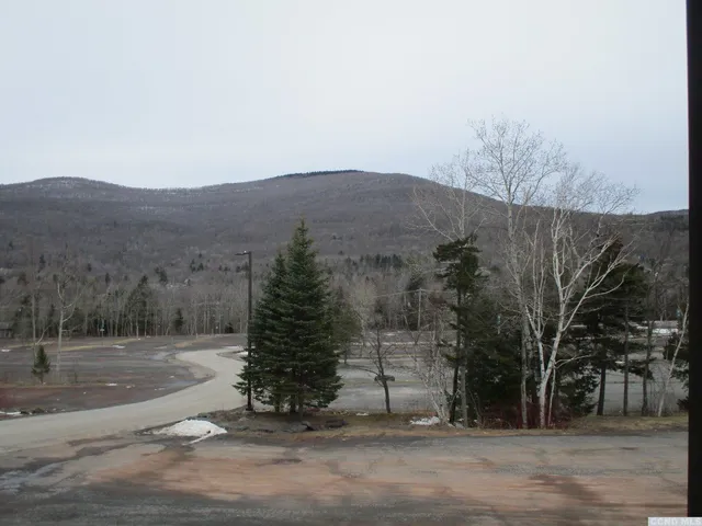 a view of a house with a tree in front