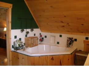 1359 Sleeper Hill Road Little Meadows, PA 18830 - Photo 8 of 10 Gallery Image 8