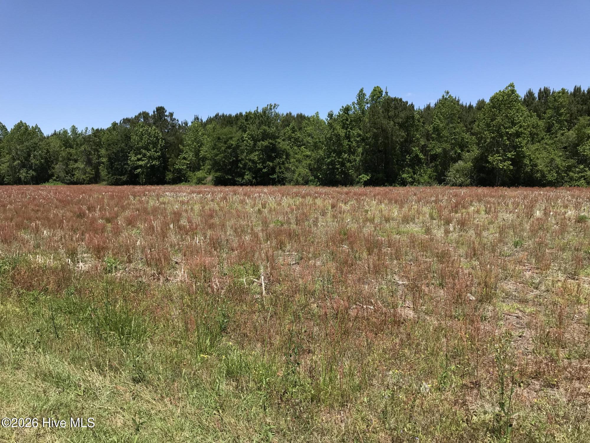 5700 Little Prong Road Northwest Ash, NC 28420 - Photo 2 of 3 ERS 1