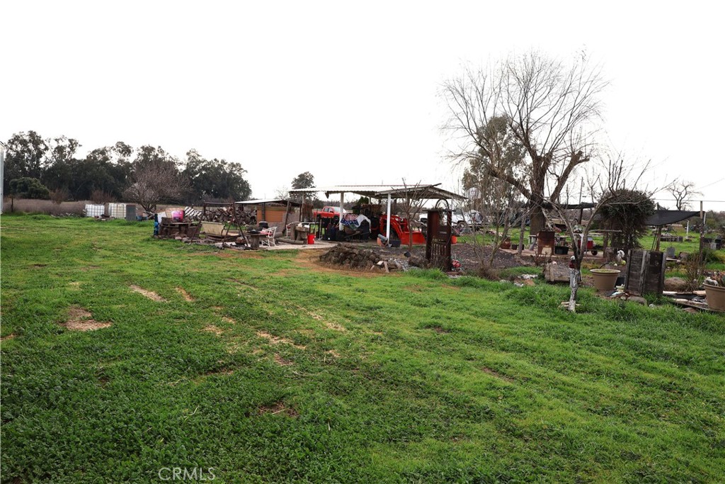20490 Corning Road Corning, CA 96021 - Photo 51 of 51 a view of a park with large trees