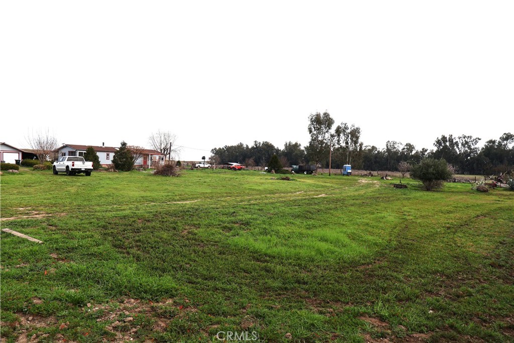 20490 Corning Road Corning, CA 96021 - Photo 10 of 51 a view of a field of grass and trees