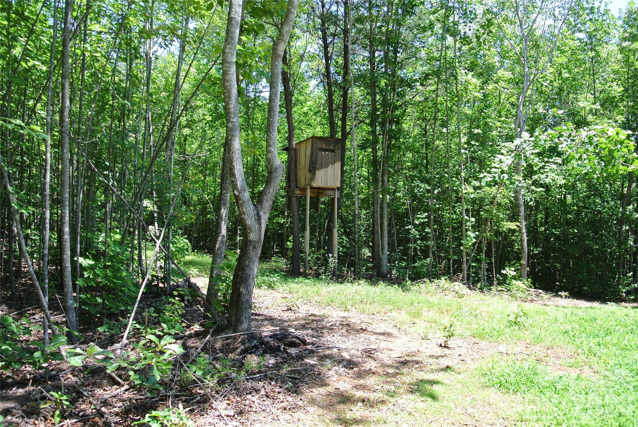 779 Thermal City Road Union Mills, NC 28167 - Photo 38 of 48