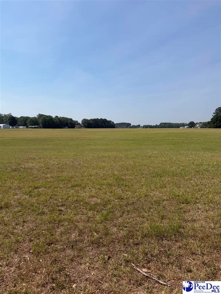 Tbd Andrews Mill Road Timmonsville, SC 29161 - Photo 1 of 1 Gallery Image 1