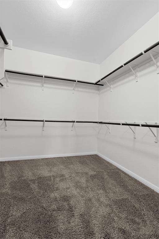 236 Prato Place Georgetown, TX 78628 - Photo 23 of 40 Ample hanging space and soft carpeting await in this accommodating walk-in closet.