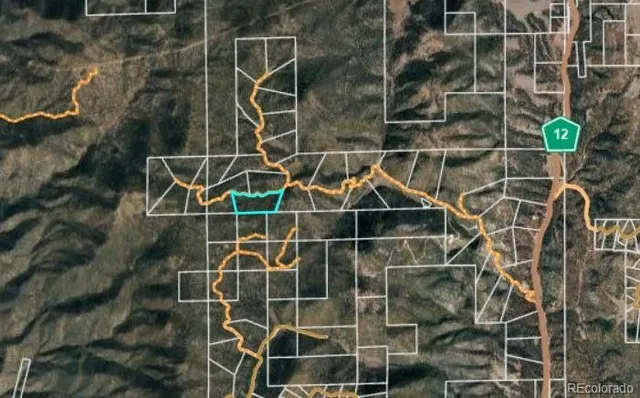 a view of a yard with trees