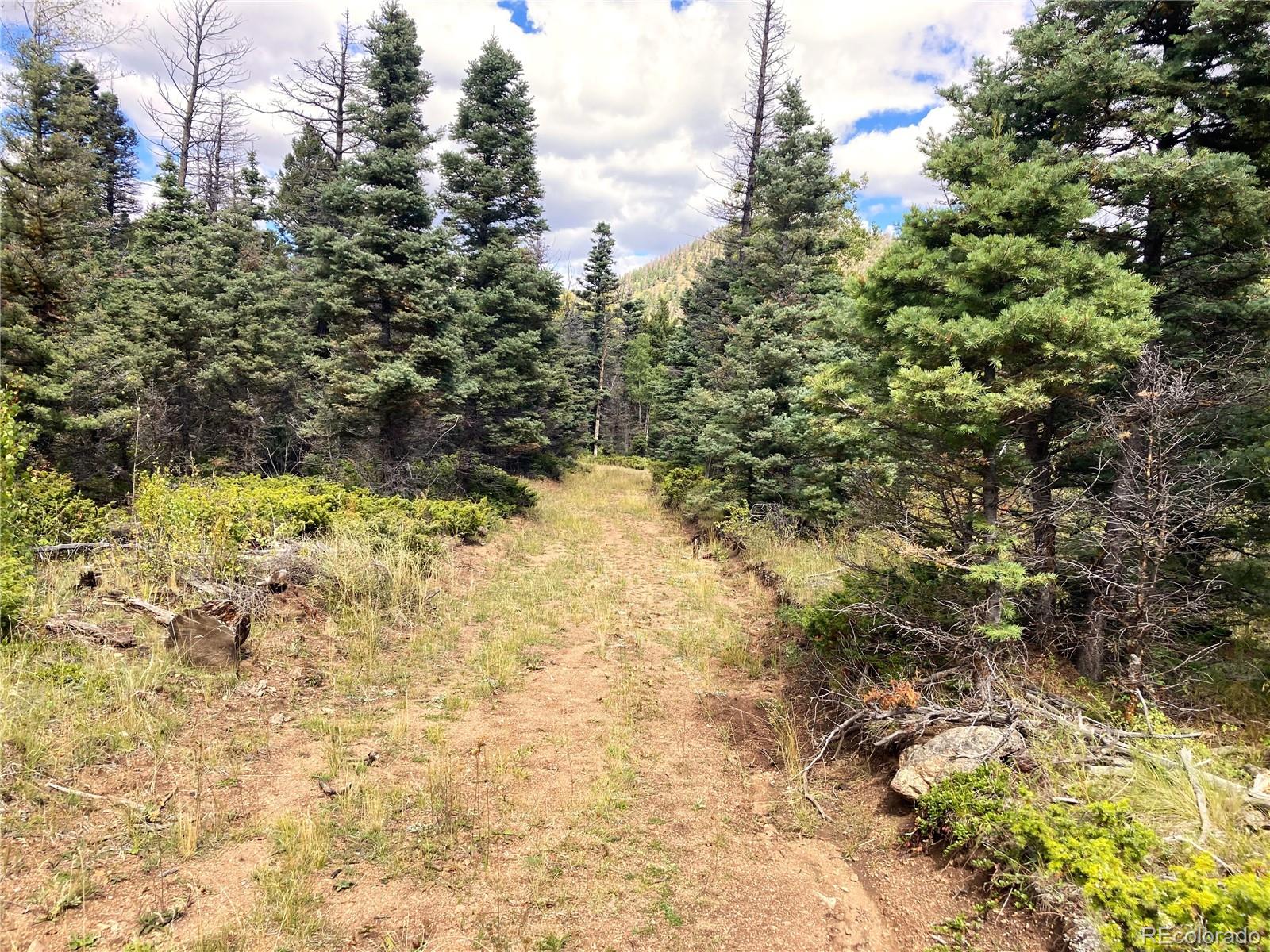 27 Copper Mountain Road Cotopaxi, CO 81223 - Photo 14 of 24 a view of a yard with trees