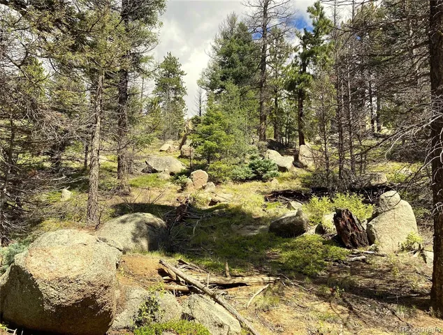 a view of outdoor space