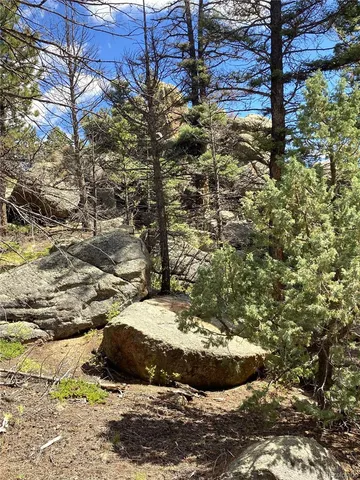 a view of a yard covered in snow