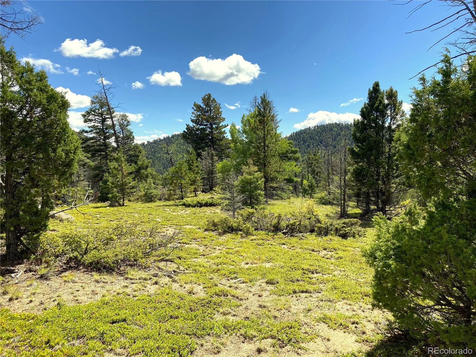 27 Copper Mountain Road Cotopaxi, CO 81223 - Photo 2 of 24 a view of a garden with an empty room