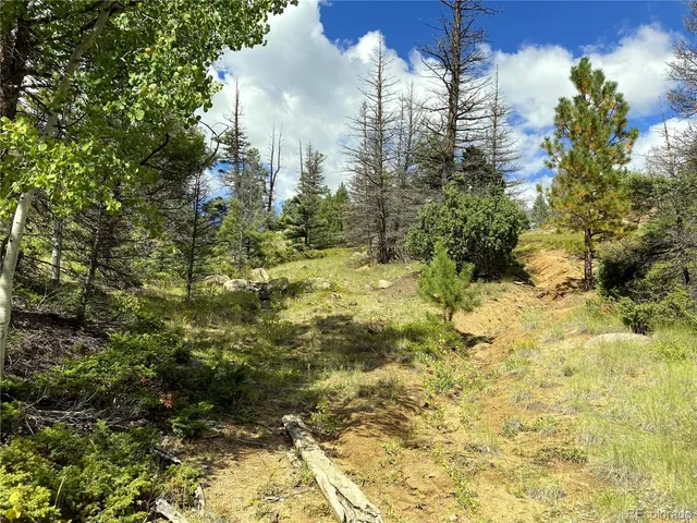 $185,000 | 27 Copper Mountain Road, Cotopaxi, CO 81223