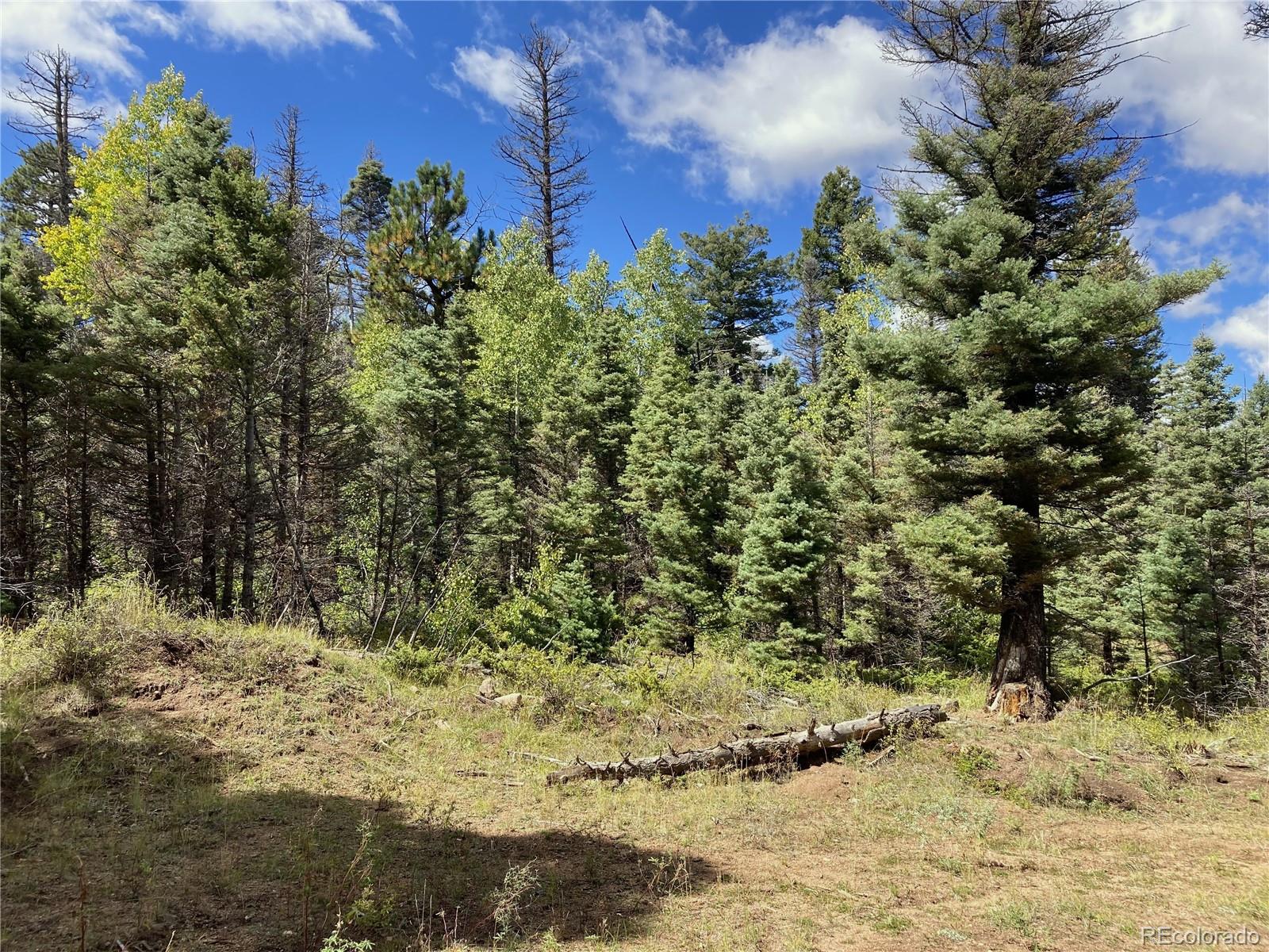 27 Copper Mountain Road Cotopaxi, CO 81223 - Photo 24 of 24 a view of a yard covered with trees