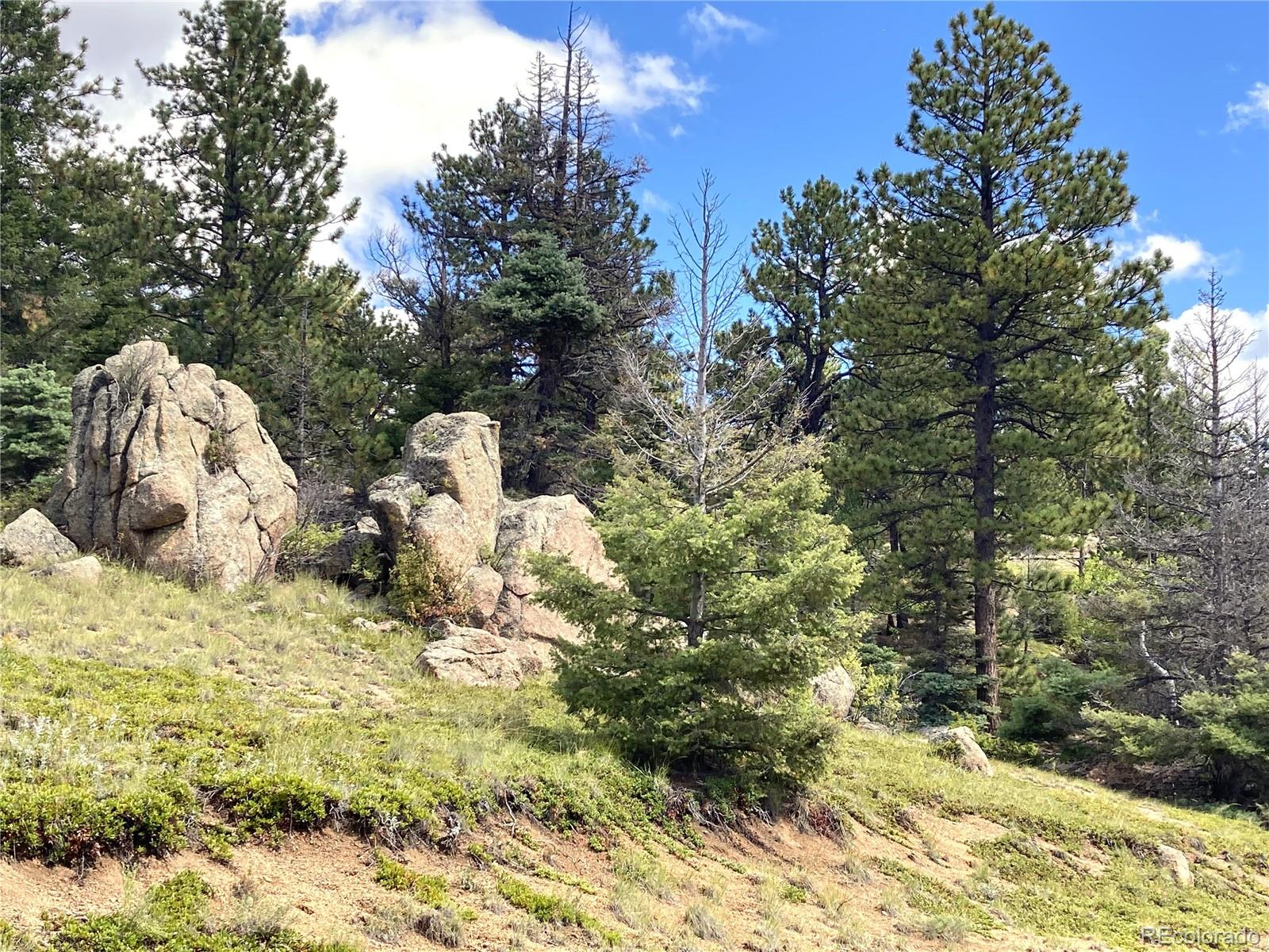 27 Copper Mountain Road Cotopaxi, CO 81223 - Photo 3 of 24 a view of a tree with a yard
