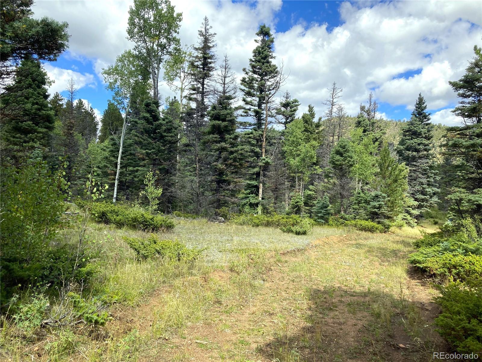 27 Copper Mountain Road Cotopaxi, CO 81223 - Photo 5 of 24 a view of a yard with plants and trees