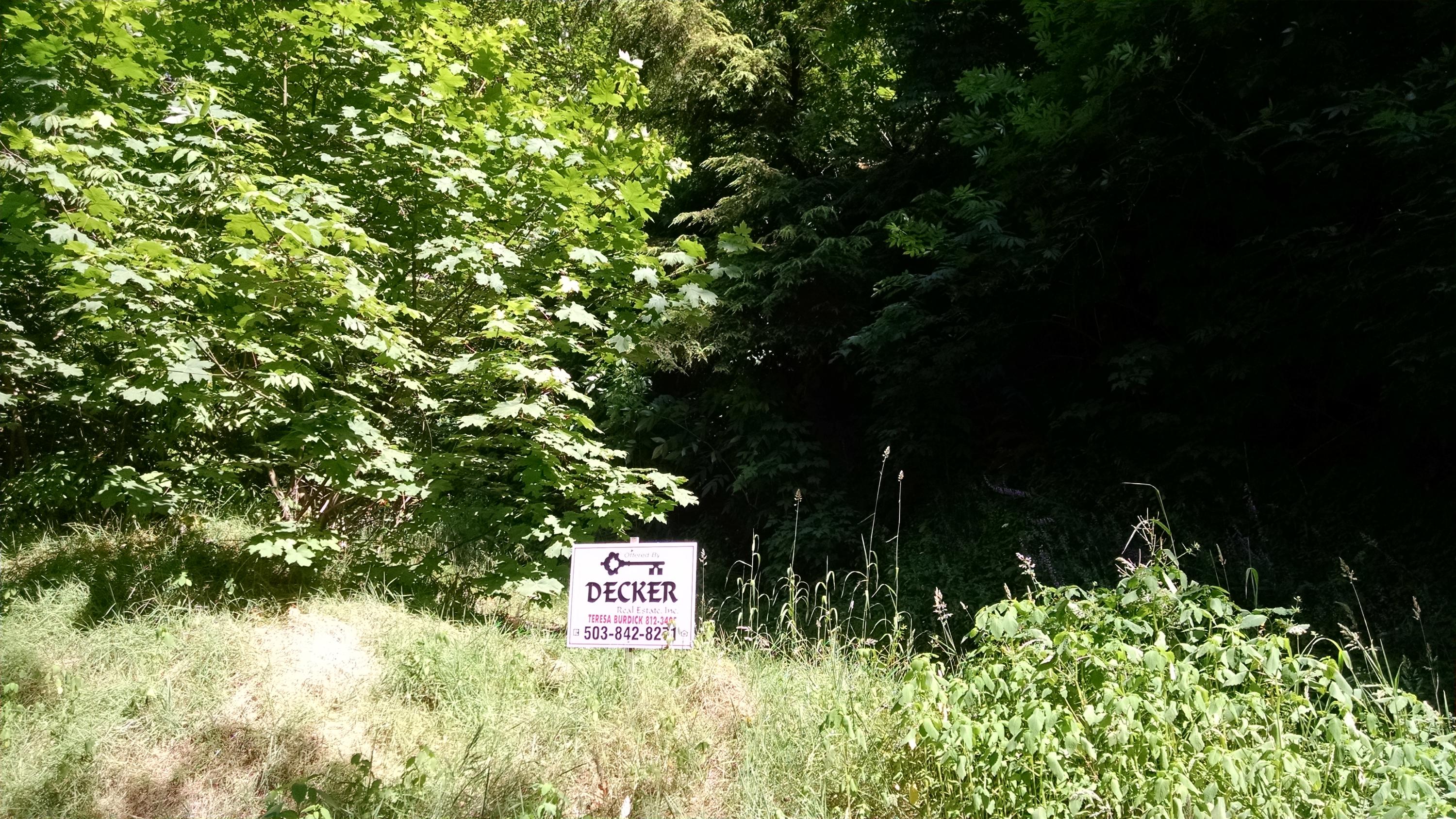 Shiffman Road Nehalem, OR 97131 - Photo 2 of 3 IMG_20170712_155610109