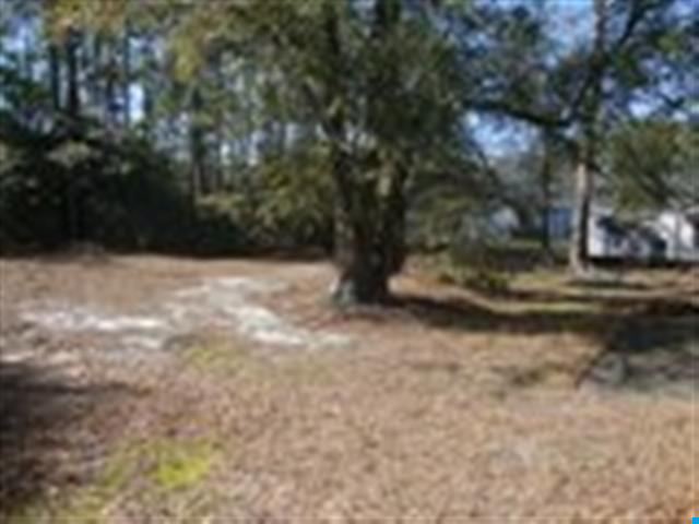 219 Springfield Road Pawleys Island, SC 29585 - Photo 4 of 4 Gallery Image 4