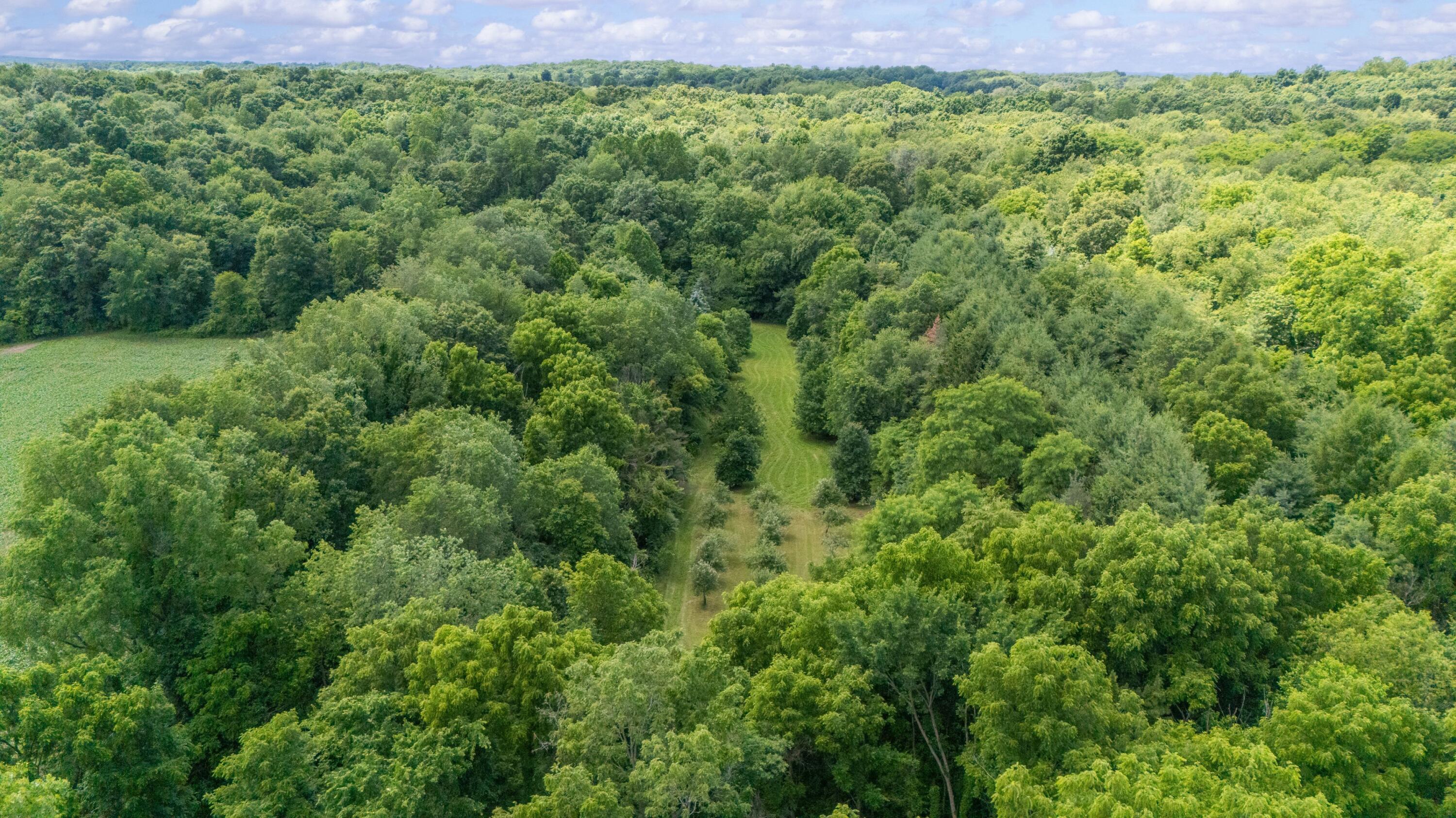52402 Oak Plains Road Marcellus, MI 49067 - Photo 4 of 59 21DJI_20260626020348_0036_D