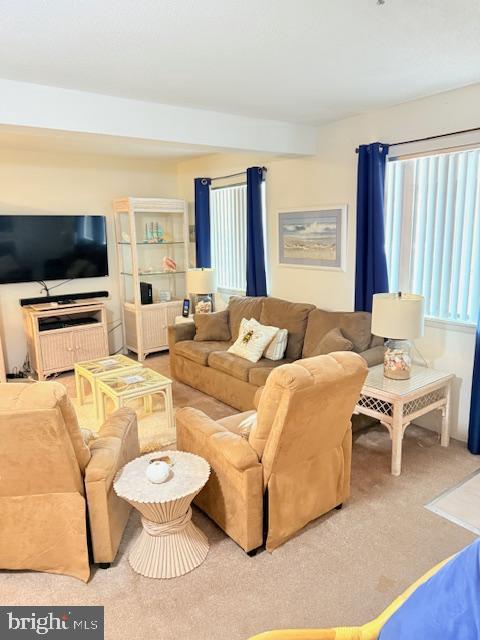 14401 Tunnel Avenue, Unit 262 Ocean City, MD 21842 - Photo 2 of 14 a living room with furniture and a flat screen tv