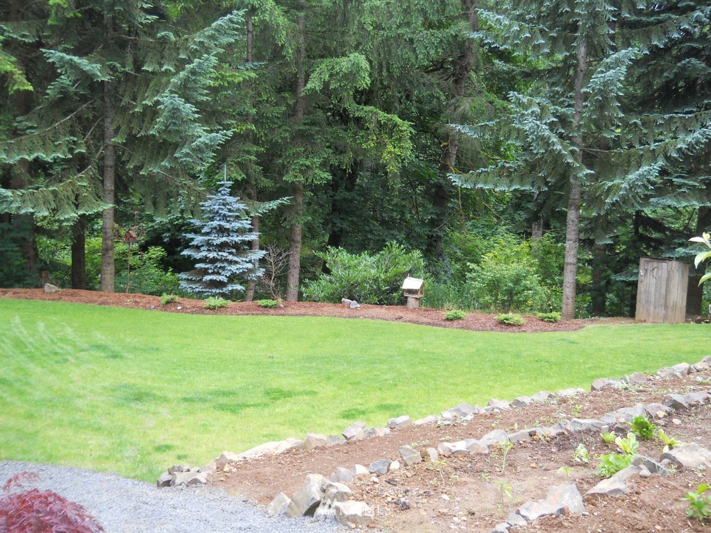 197 Devereese Road Chehalis, WA 98532 - Photo 13 of 25 Gallery Image 13