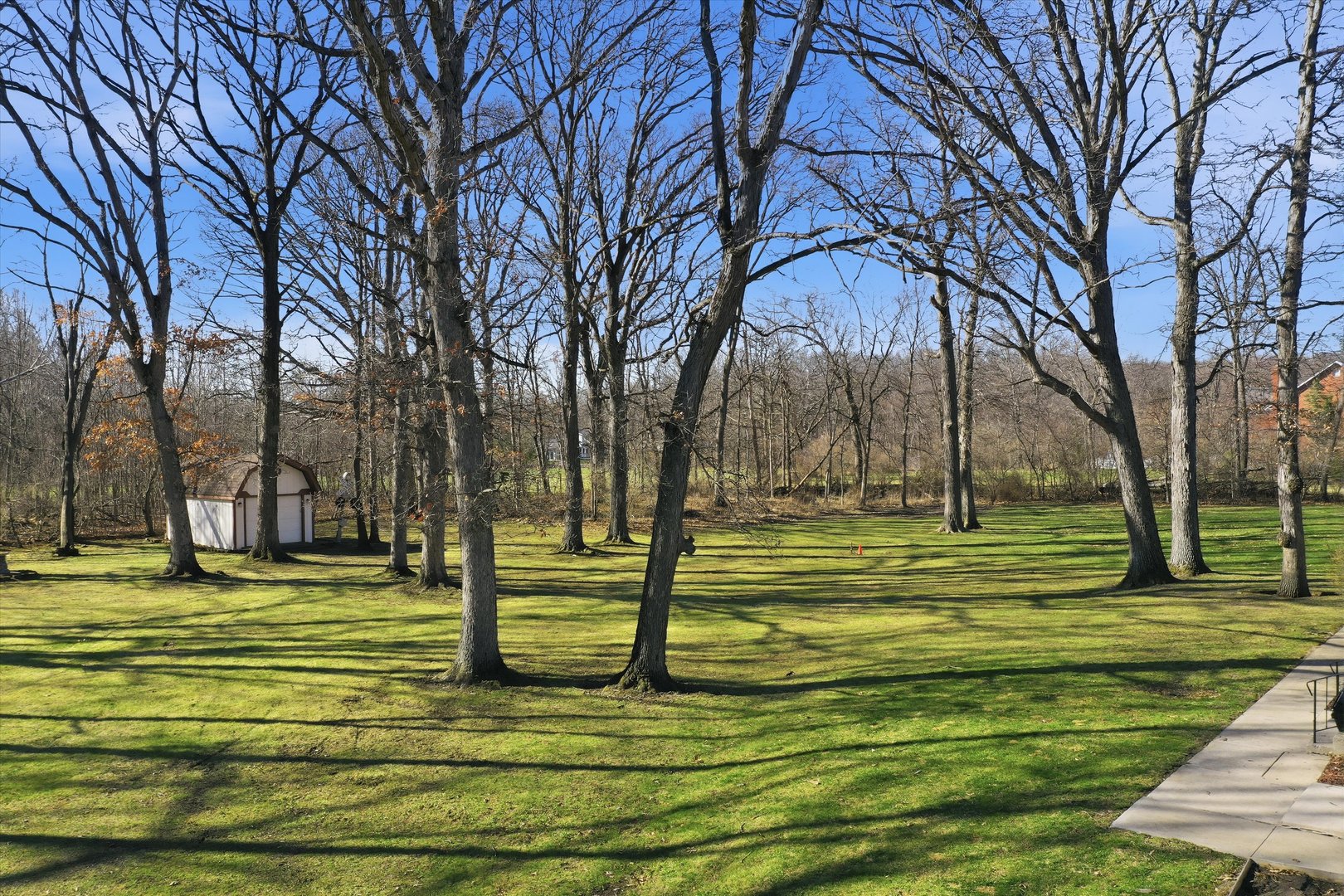 24346 South Timberline Trail Crete, IL 60417 - Photo 25 of 31 a view of a garden with trees