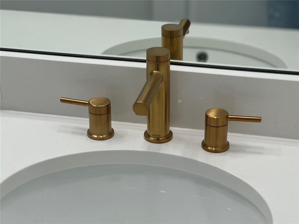 17592 Northlake Grv Drive Winter Garden, FL 34787 - Photo 11 of 14 a close view of sink