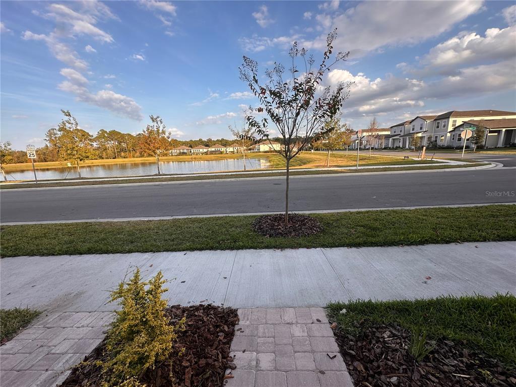 17592 Northlake Grv Drive Winter Garden, FL 34787 - Photo 14 of 14 a view of a street with an ocean view