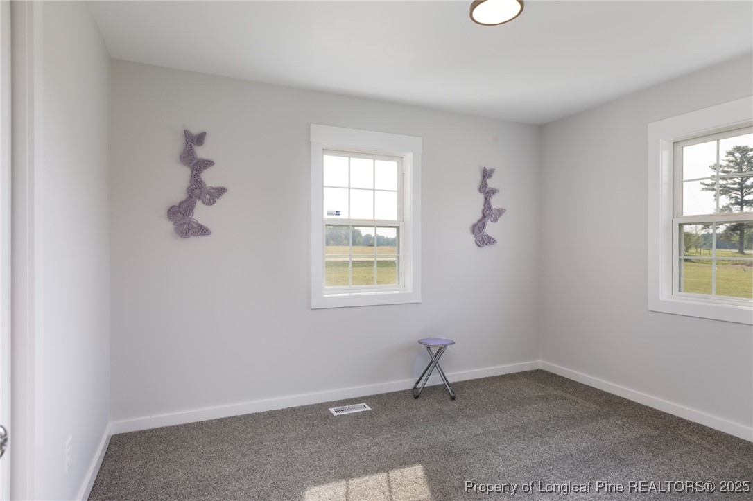 6231 Dunn Road Roseboro, NC 28382 - Photo 21 of 25 Gallery Image 21