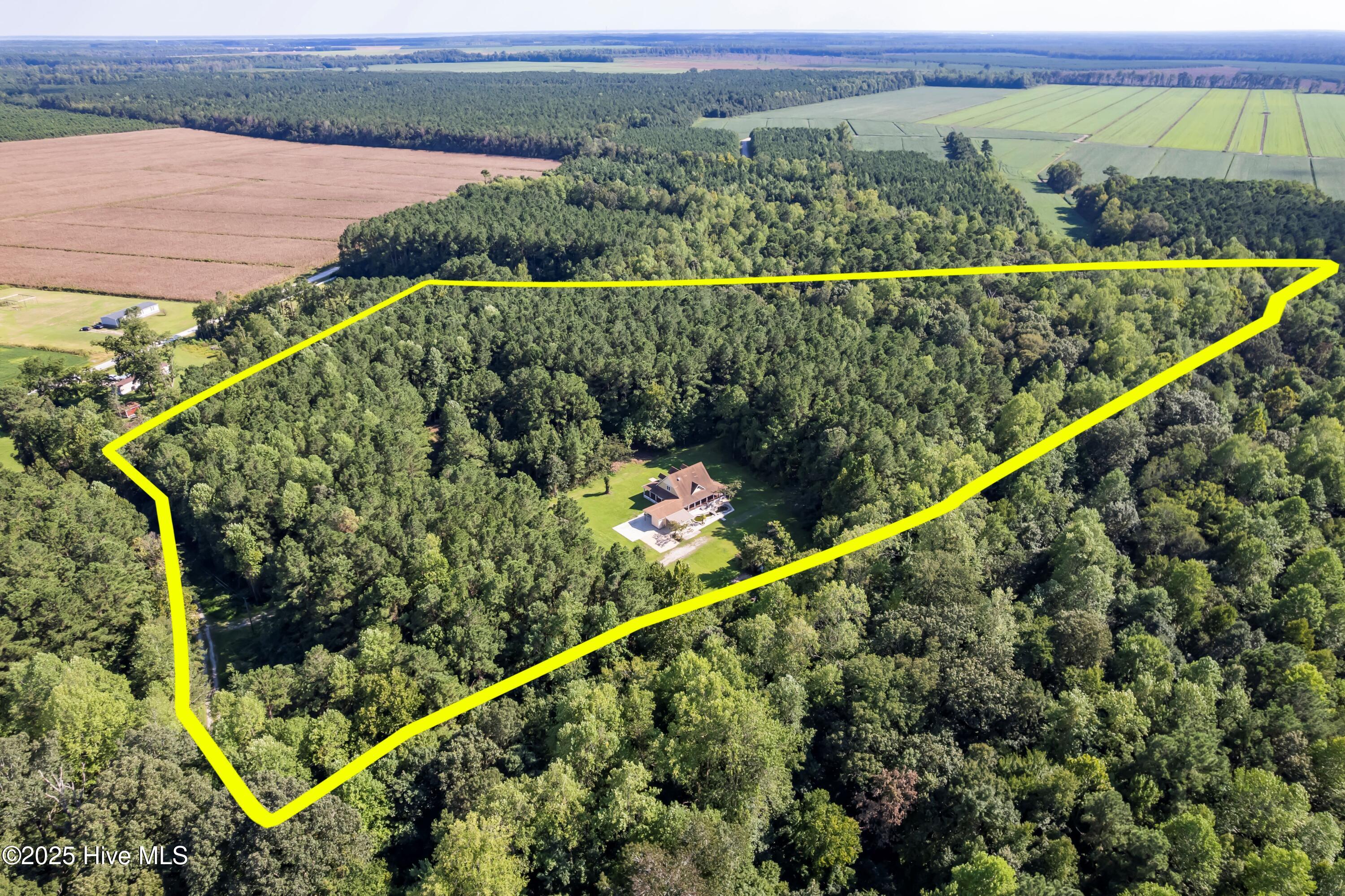 748 Alligator Creek Road Merritt, NC 28556 - Photo 58 of 61 748AlligatorCreekRd075 75