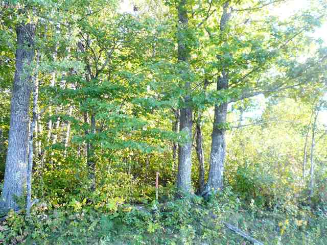 Xx Olson Road Mahtowa, MN 55707 - Photo 2 of 8 Gallery Image 2