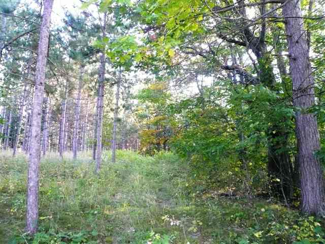Xx Olson Road Mahtowa, MN 55707 - Photo 3 of 8 Gallery Image 3